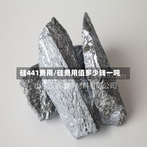 硅441费用/硅费用值多少钱一吨