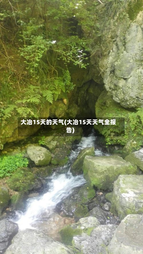 大冶15天的天气(大冶15天天气全报告)-第2张图片