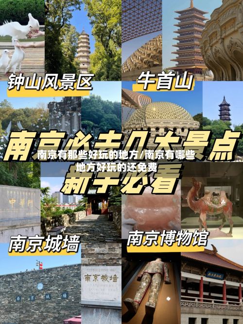 南京有那些好玩的地方/南京有哪些地方好玩的还免费-第3张图片