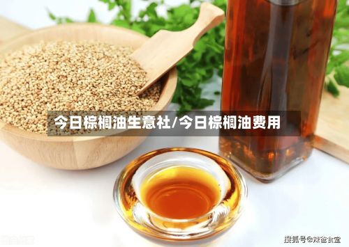 今日棕榈油生意社/今日棕榈油费用-第3张图片