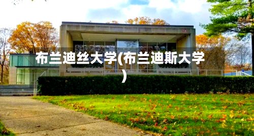 布兰迪丝大学(布兰迪斯大学)