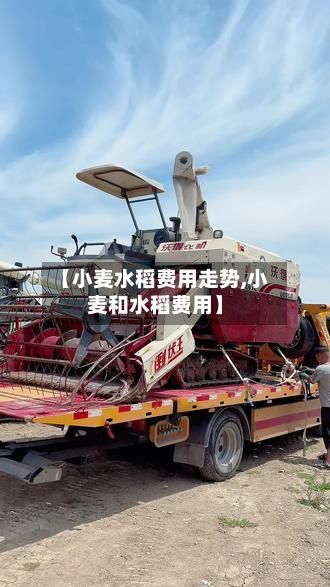 【小麦水稻费用走势,小麦和水稻费用】