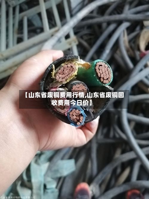 【山东省废铜费用行情,山东省废铜回收费用今日价】-第3张图片