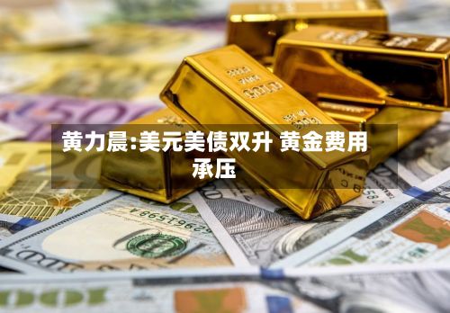 黄力晨:美元美债双升 黄金费用承压
