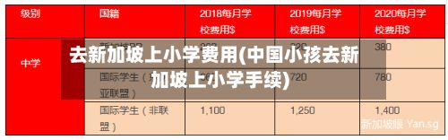 去新加坡上小学费用(中国小孩去新加坡上小学手续)
