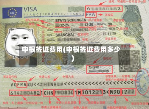 申根签证费用(申根签证费用多少)-第2张图片