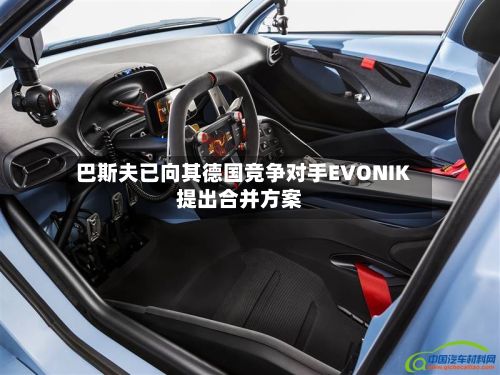 巴斯夫已向其德国竞争对手EVONIK提出合并方案