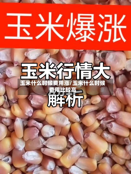 玉米什么时候费用涨/玉米什么时候费用比较高-第2张图片
