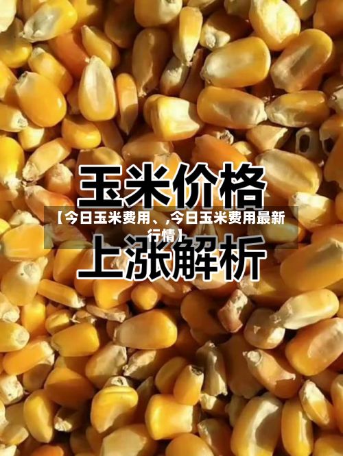 【今日玉米费用、,今日玉米费用最新行情】
