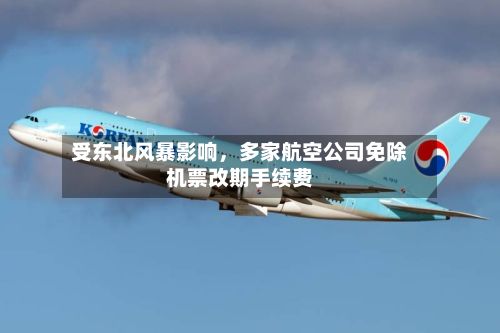 受东北风暴影响，多家航空公司免除机票改期手续费-第3张图片