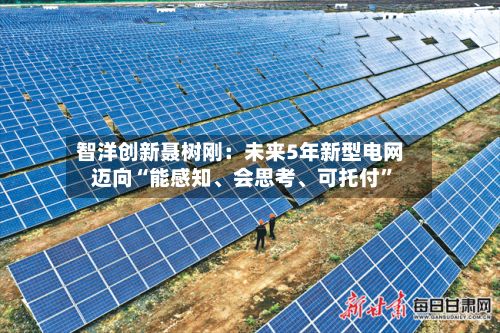 智洋创新聂树刚：未来5年新型电网迈向“能感知、会思考、可托付”