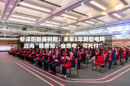 智洋创新聂树刚：未来5年新型电网迈向“能感知、会思考	、可托付”-第3张图片