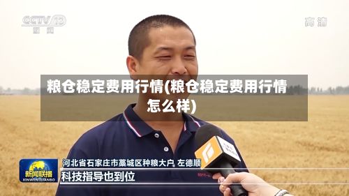 粮仓稳定费用行情(粮仓稳定费用行情怎么样)-第2张图片