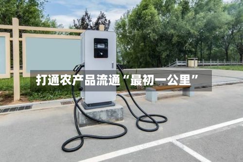 打通农产品流通“最初一公里”-第2张图片