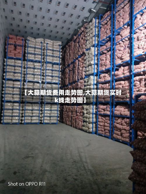 【大蒜期货费用走势图,大蒜期货实时k线走势图】