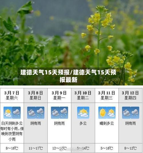 建德天气15天预报/建德天气15天预报最新-第2张图片
