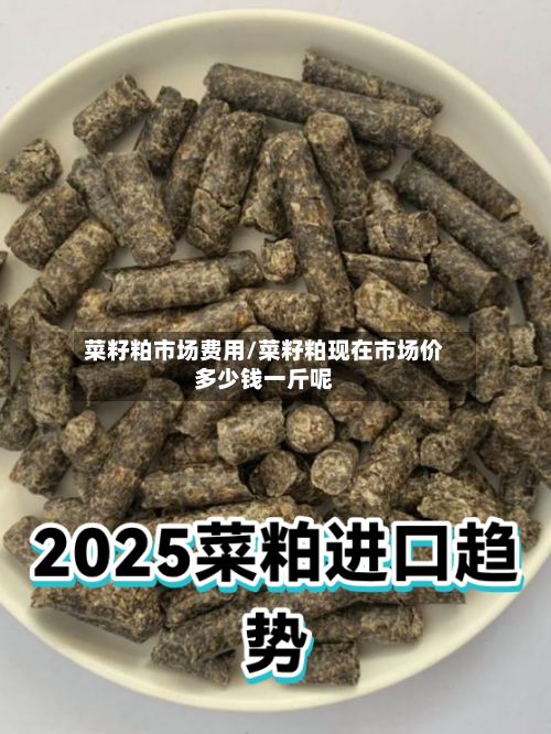 菜籽粕市场费用/菜籽粕现在市场价多少钱一斤呢-第2张图片