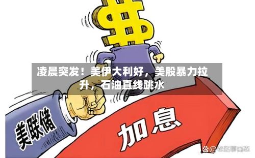 凌晨突发！美伊大利好	，美股暴力拉升，石油直线跳水-第3张图片