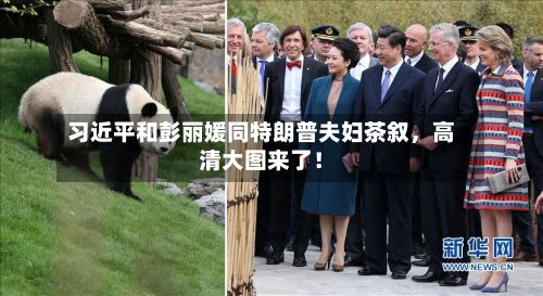 习近平和彭丽媛同特朗普夫妇茶叙，高清大图来了！-第3张图片
