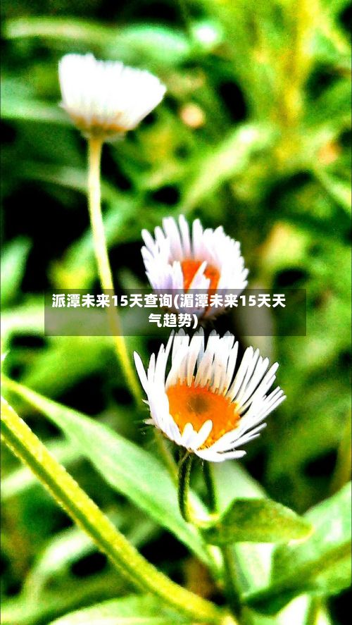 派潭未来15天查询(湄潭未来15天天气趋势)-第3张图片