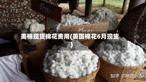 美棉现货棉花费用(美国棉花6月现货)-第2张图片