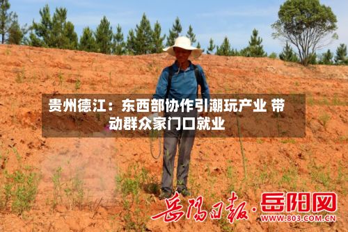 贵州德江:东西部协作引潮玩产业 带动群众家门口就业-第2张图片