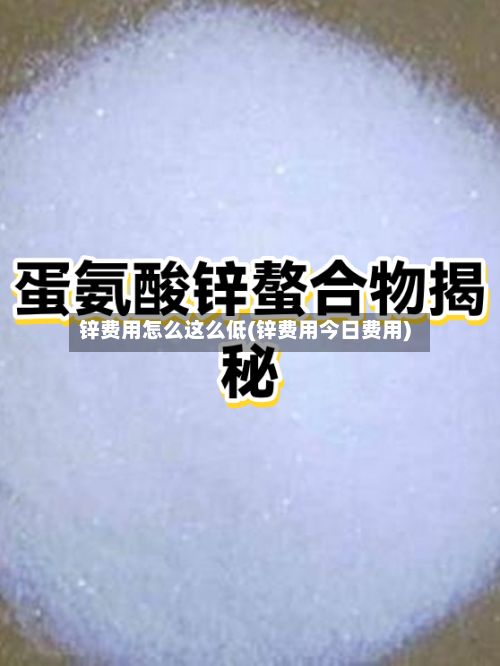 锌费用怎么这么低(锌费用今日费用)