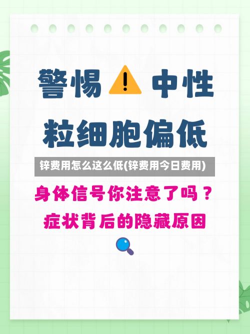 锌费用怎么这么低(锌费用今日费用)-第2张图片