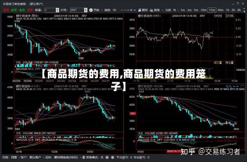 【商品期货的费用,商品期货的费用笼子】