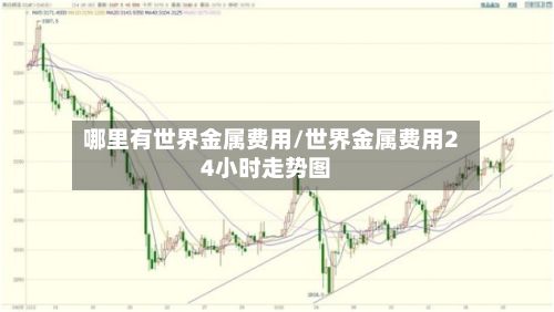 哪里有世界金属费用/世界金属费用24小时走势图
