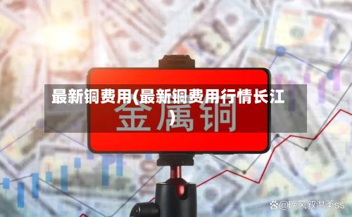 最新铜费用(最新铜费用行情长江)-第2张图片