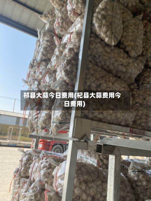 祁县大蒜今日费用(杞县大蒜费用今日费用)
