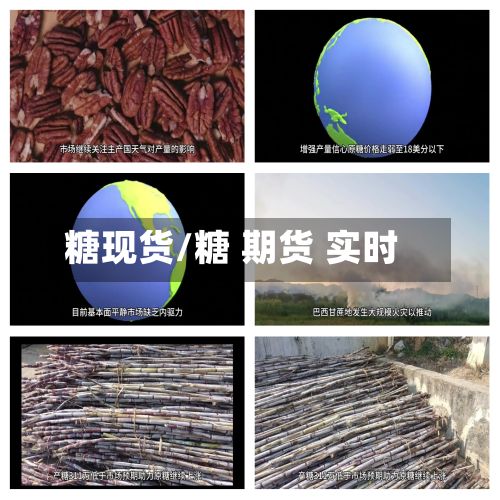 糖现货/糖 期货 实时
