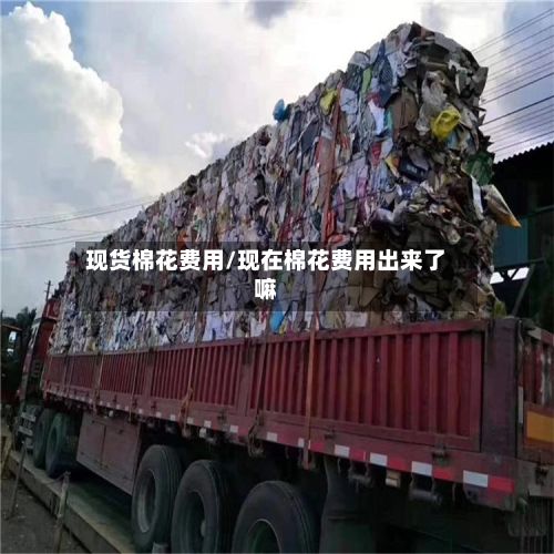 现货棉花费用/现在棉花费用出来了嘛-第2张图片
