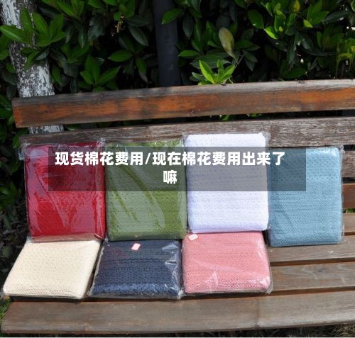 现货棉花费用/现在棉花费用出来了嘛