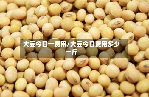 大豆今日一费用/大豆今日费用多少一斤