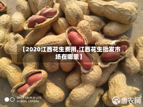 【2020江西花生费用,江西花生批发市场在哪里】-第2张图片