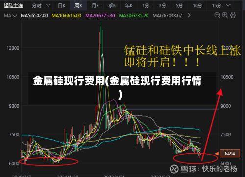 金属硅现行费用(金属硅现行费用行情)-第3张图片