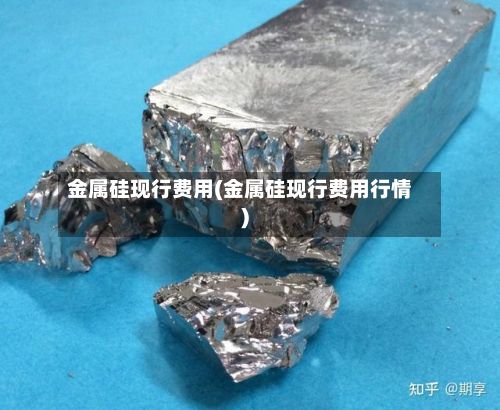 金属硅现行费用(金属硅现行费用行情)-第2张图片