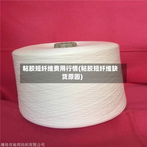 粘胶短纤维费用行情(粘胶短纤维缺货原因)-第3张图片