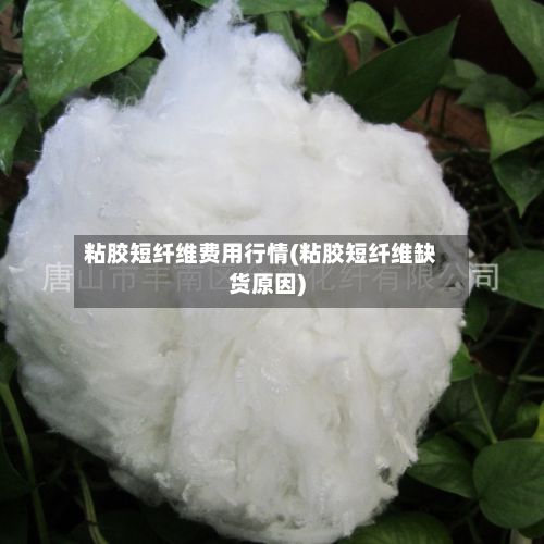 粘胶短纤维费用行情(粘胶短纤维缺货原因)