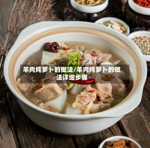羊肉炖萝卜的做法/羊肉炖萝卜的做法详细步骤