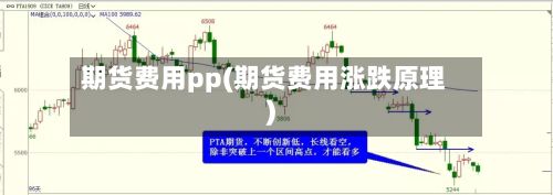 期货费用pp(期货费用涨跌原理)
