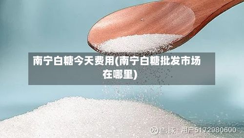 南宁白糖今天费用(南宁白糖批发市场在哪里)-第2张图片
