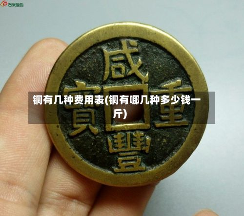 铜有几种费用表(铜有哪几种多少钱一斤)-第2张图片