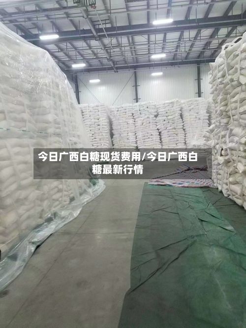 今日广西白糖现货费用/今日广西白糖最新行情