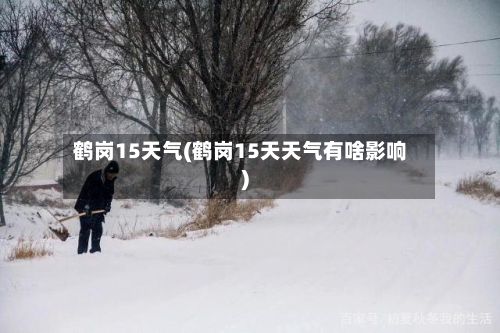 鹤岗15天气(鹤岗15天天气有啥影响)