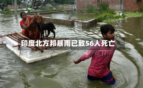 印度北方邦暴雨已致56人死亡-第2张图片