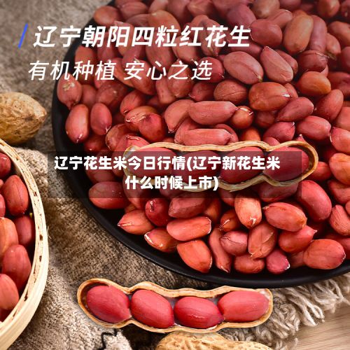 辽宁花生米今日行情(辽宁新花生米什么时候上市)-第2张图片