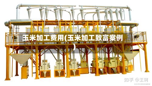 玉米加工费用(玉米加工致富案例)